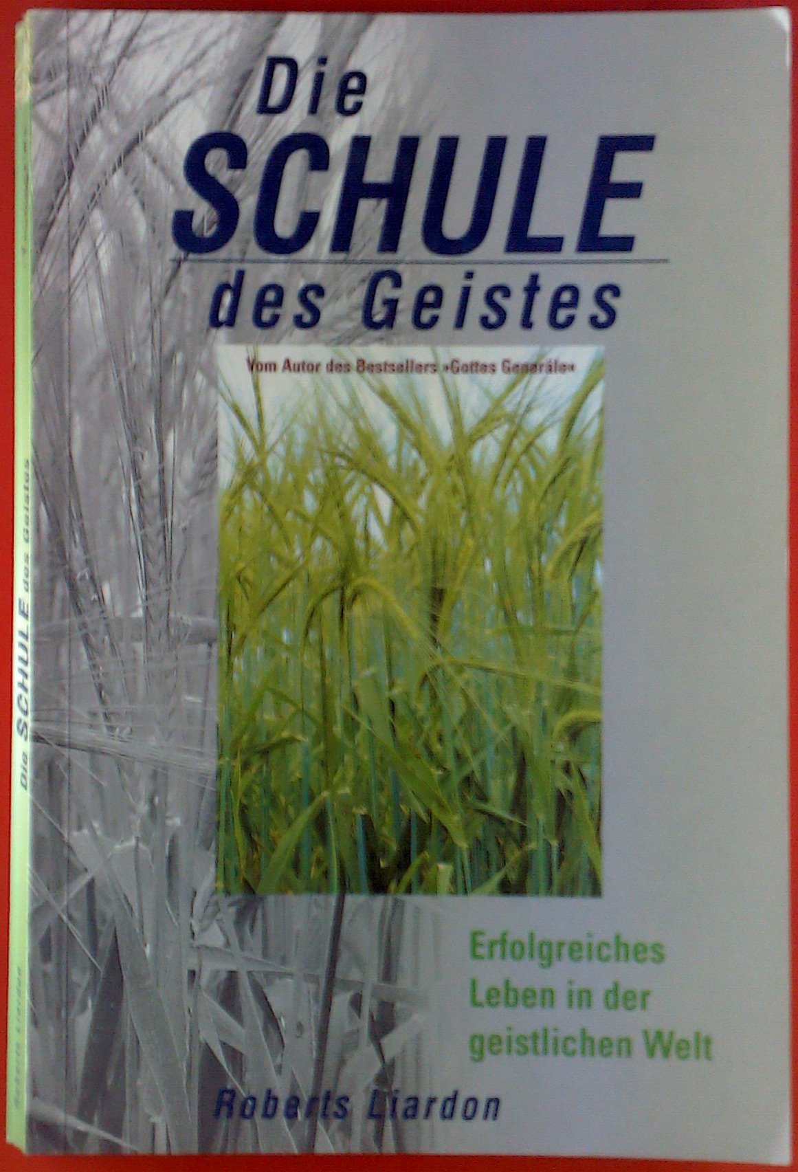 Die Schule des Geistes: Erfolgreiches Leben in der geistlichen Welt Religion & Esotericism