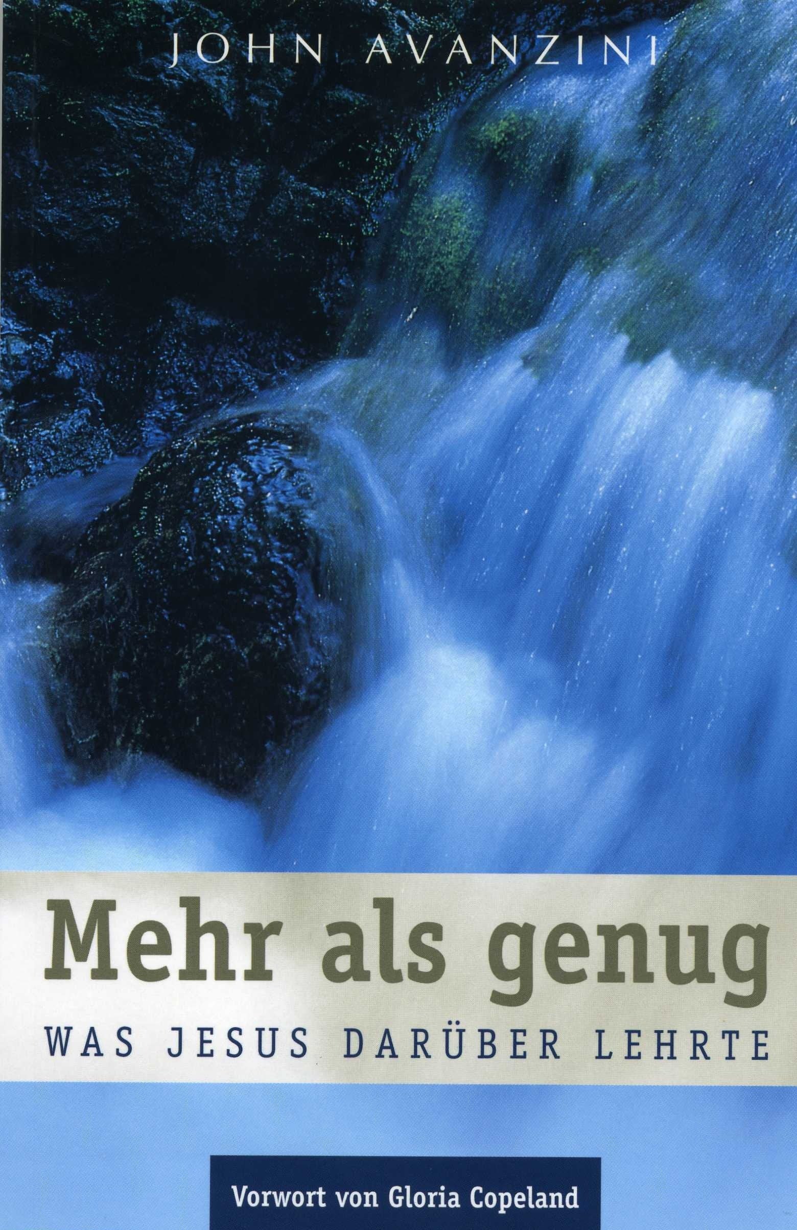 Mehr als genug: Was Jesus darüber lehrte Religion & Esotericism
