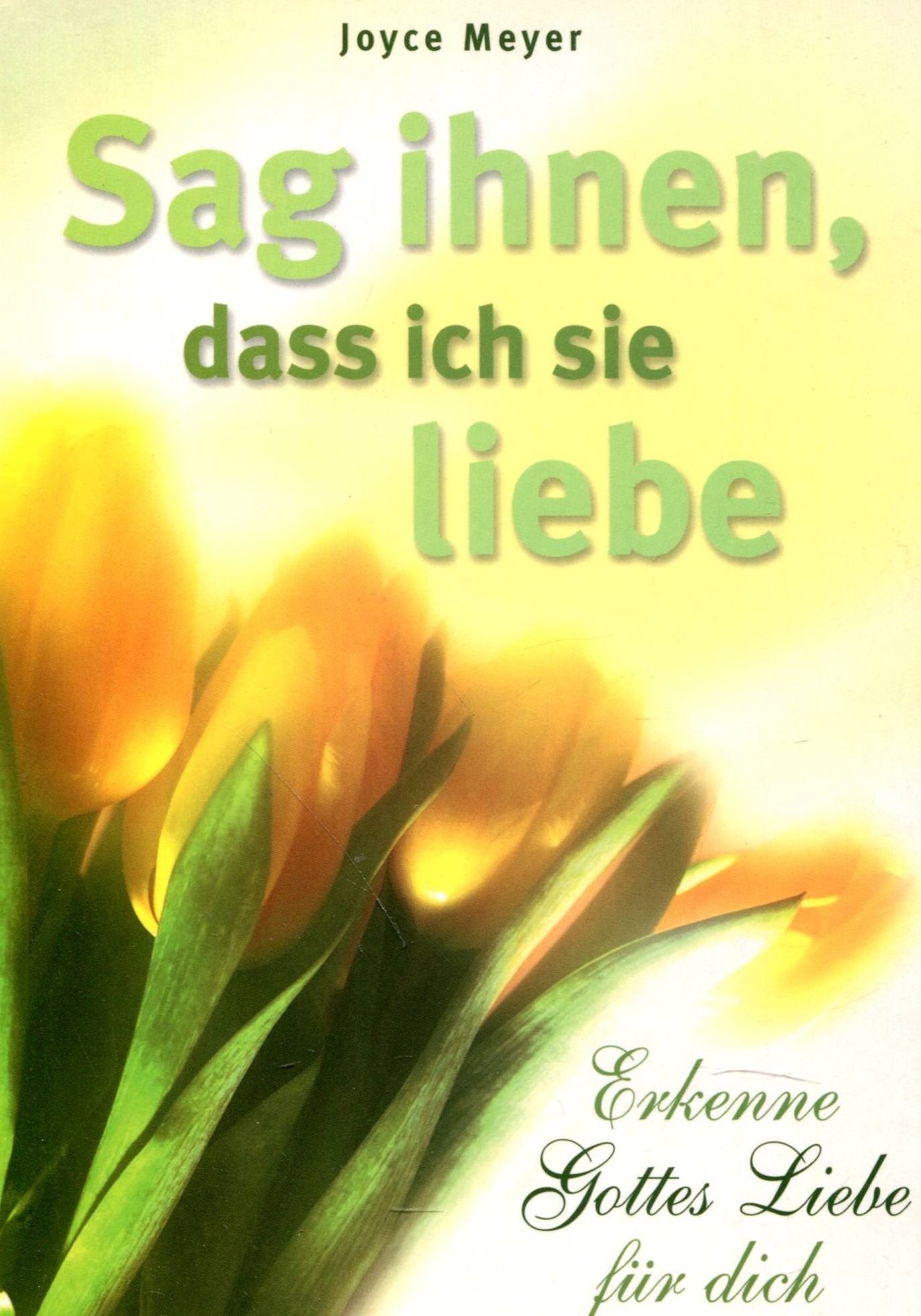 Sag ihnen, dass ich sie liebe: Erkenne Gottes Liebe für dich Religion & Esotericism