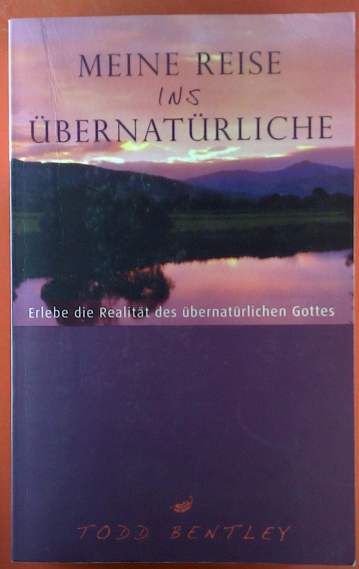 Meine Reise ins Übernatürliche: Erlebe die Realität des übernatürlichen Gottes Religion & Esotericism