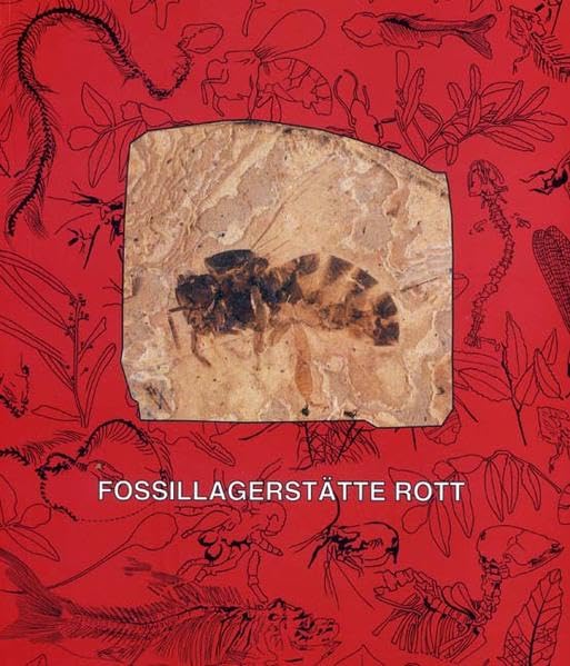 Fossillagerstätte Rott bei Hennef im Siebengebirge: Das Leben an einem subtropischen See vor 25 Millionen Jahren Business & Technology