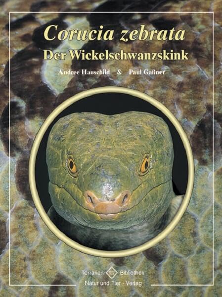 Corucia zebrata: Der Wickelschwanzskink (Terrarien-Bibliothek) Pets