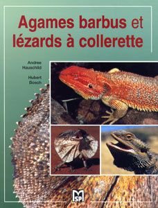 Agames barbus et lézards à collerette Pets