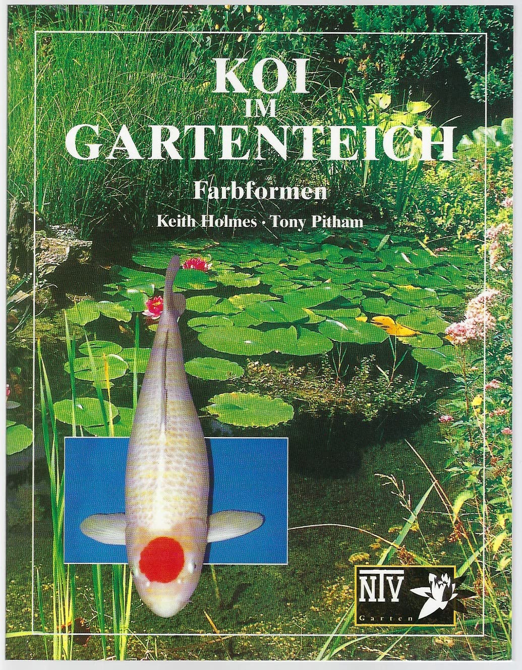 Koi im Gartenteich: Farbformen (Bücher für Teich und Garten) Leisure, Home & Garden