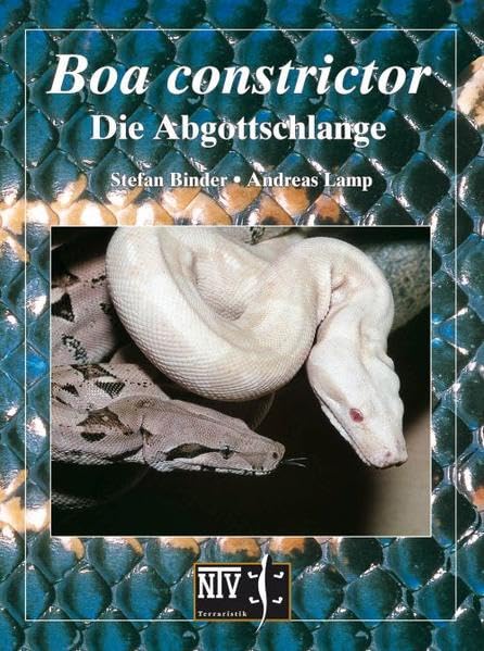 Boa constrictor Pets