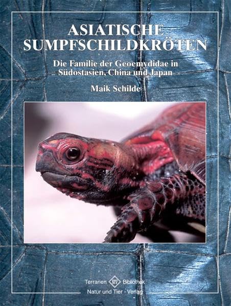 Asiatische Sumpfschildkröten Pets