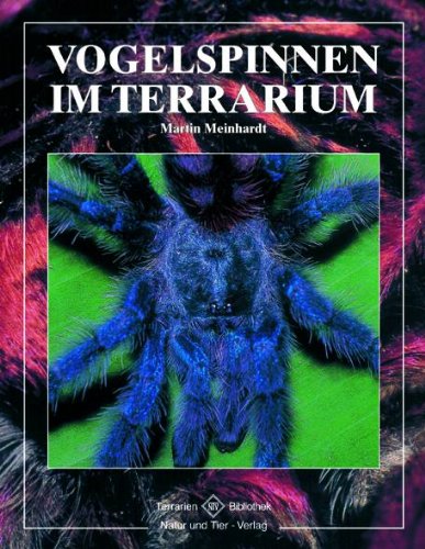 Vogelspinnen im Terrarium Pets