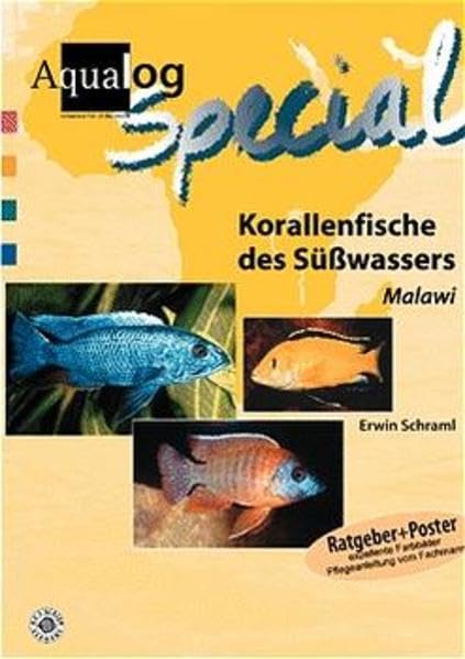 Korallenfische des Süsswassers: Malawi Pets