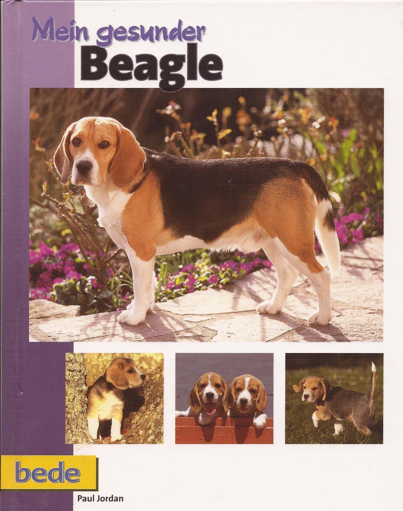 Mein gesunder Beagle Books about Pets