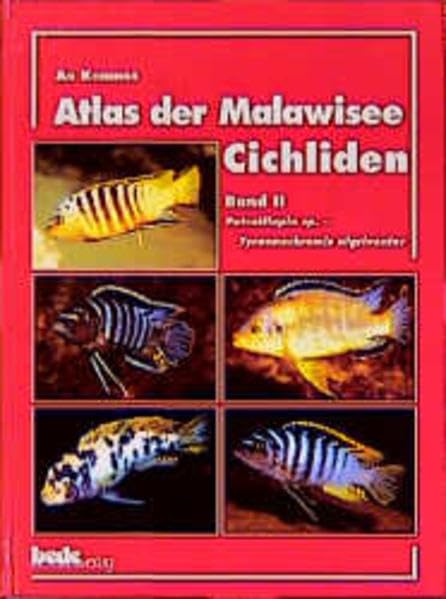 Atlas der Malawisee-Cichliden, Bd.2, Petrotilapia sp. - Tyrannochromis nigriventer Pets