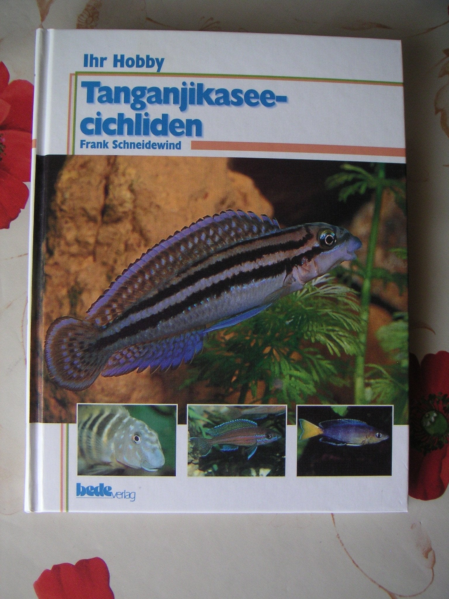 Ihr Hobby, Tanganjikaseecichliden Leisure, Home & Garden