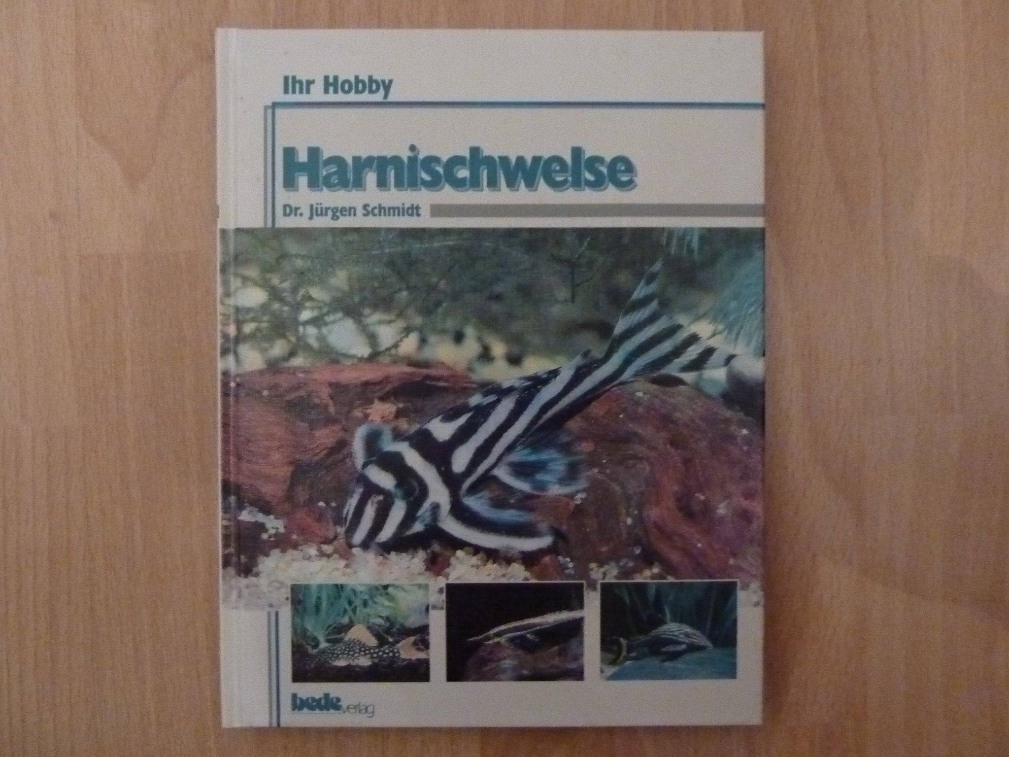 Ihr Hobby Harnischwelse Pets
