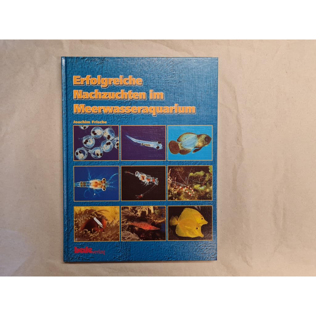 Erfolgreiche Nachzuchten im Meerwasseraquarium Pets