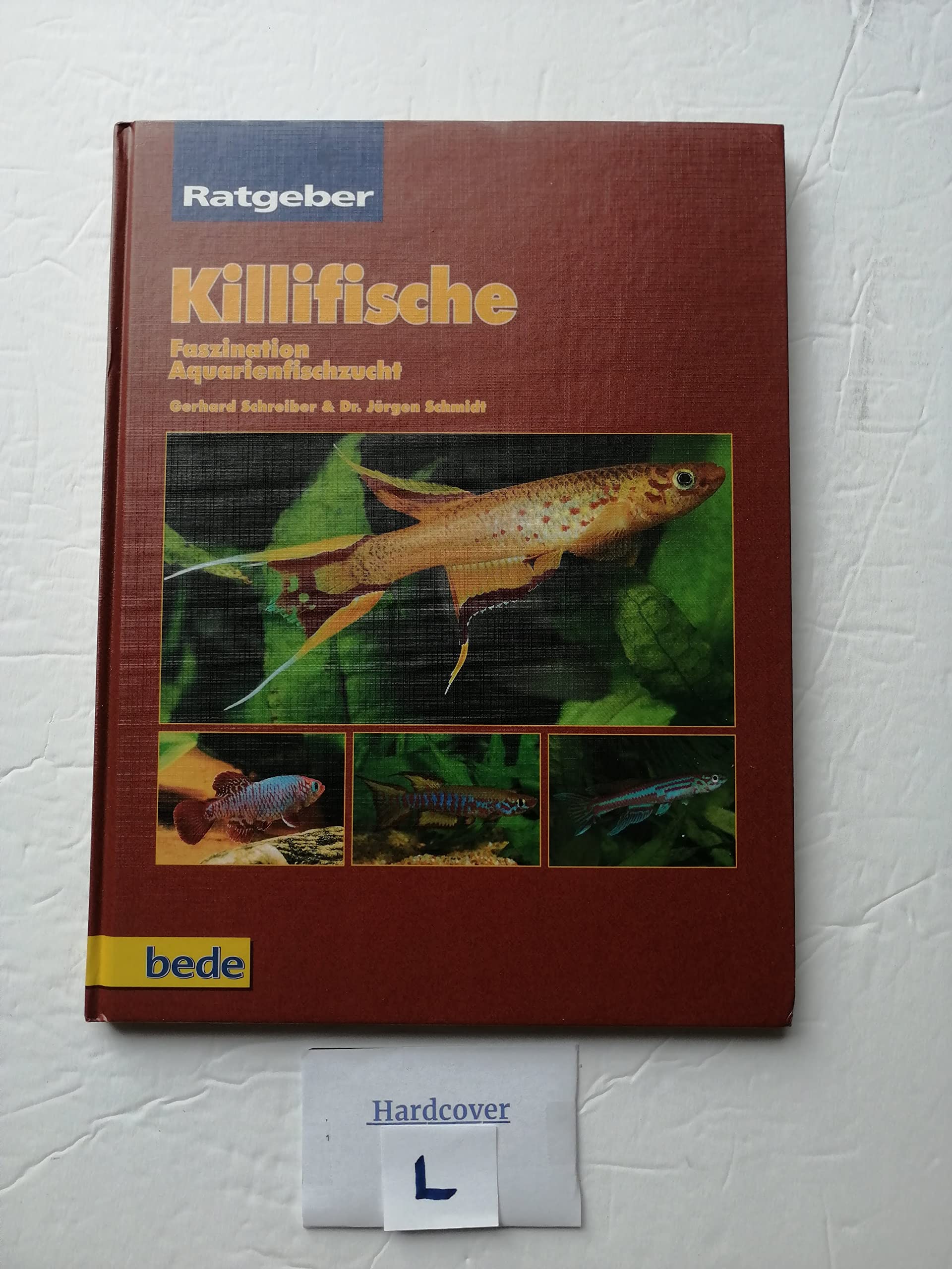Killifische Pets