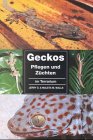 Geckos pflegen und züchten im Terrarium Pets