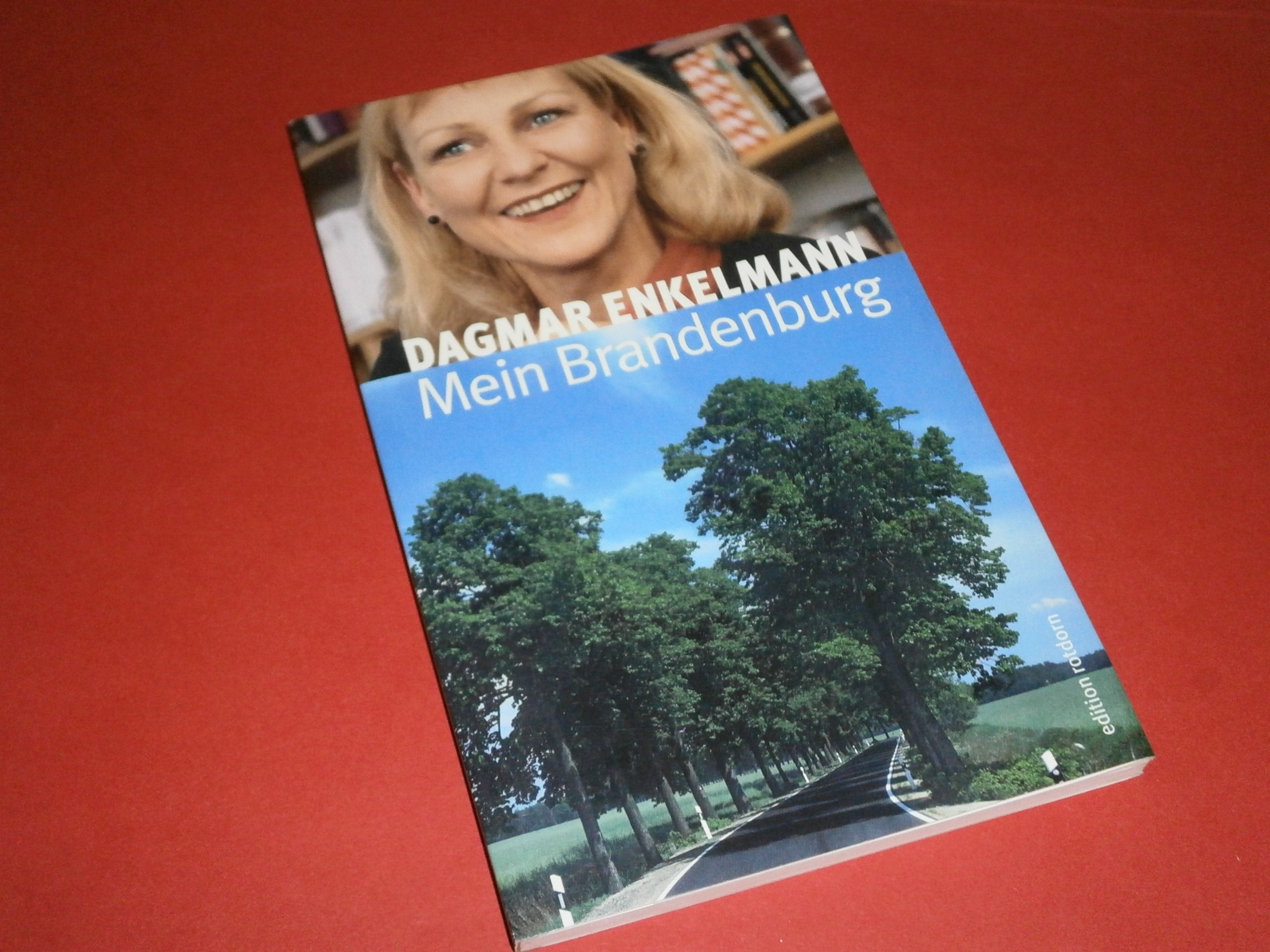 Mein Brandenburg: Was war, was bleibt, was besser werden muss Books
