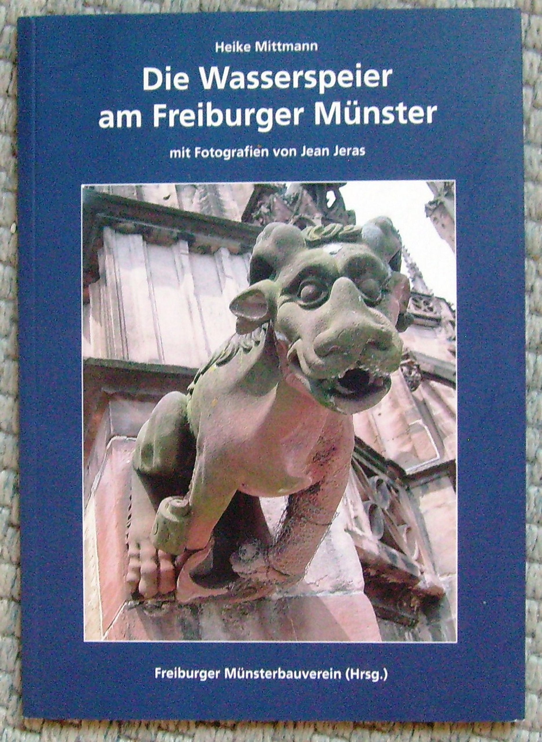 Die Wasserspeier am Freiburger Münster book
