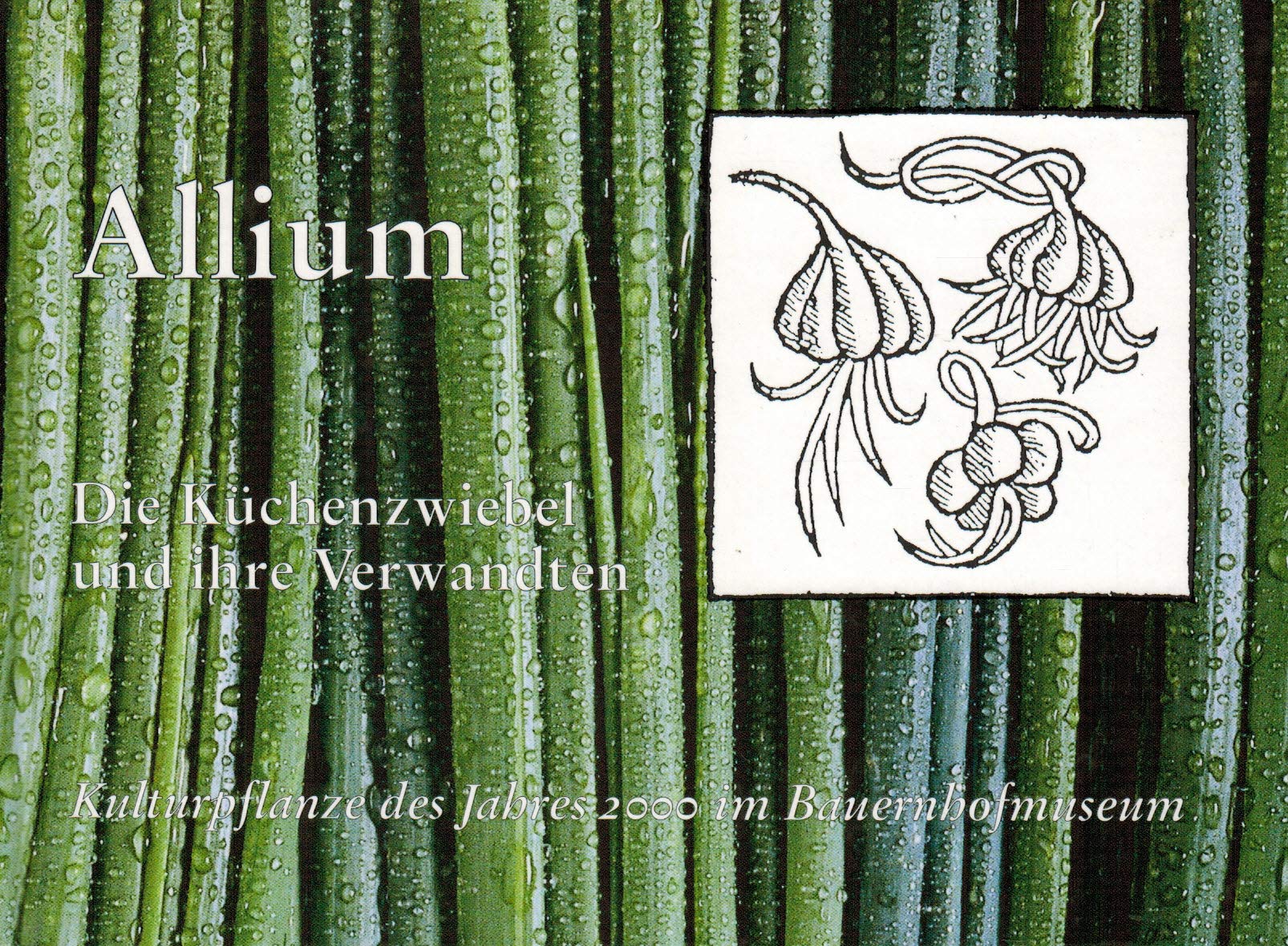 Allium. Die Küchenzwiebel und ihre Verwandten. Kulturpflanze des Jahres 2000 im Bauernhofmuseum Books