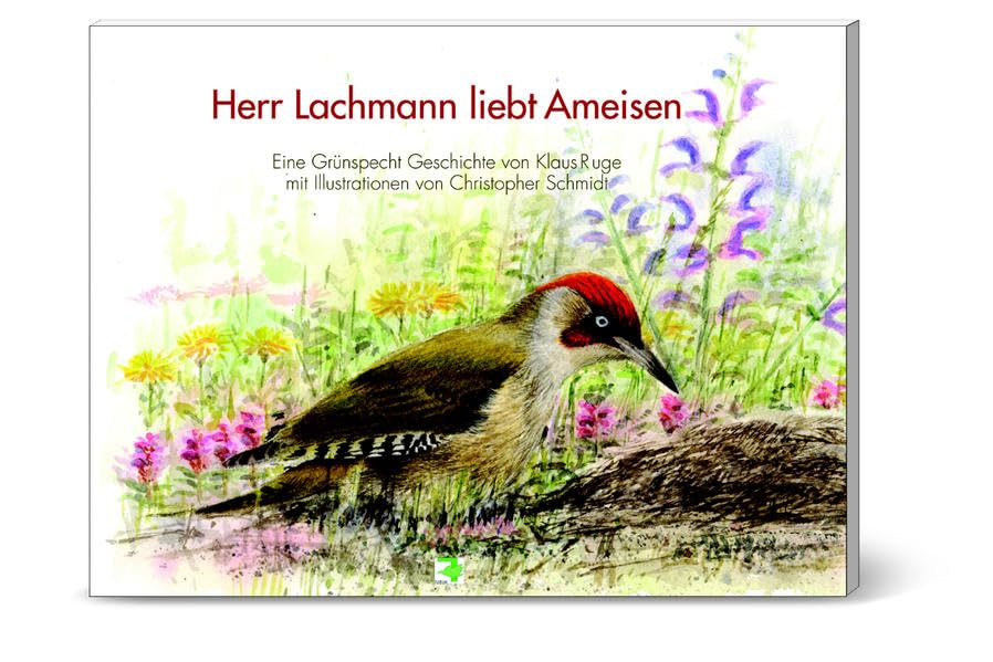Herr Lachmann liebt Ameisen: Eine Grünspecht Geschichte Film, Art & Culture