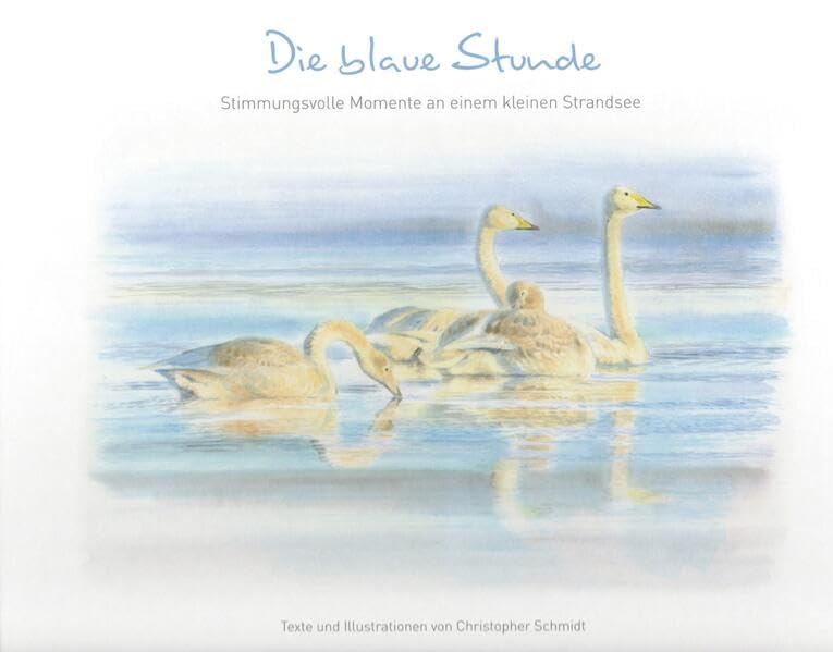 Die blaue Stunde: Stimmungsvolle Momente an einem kleinen Strandsee Natural Sciences