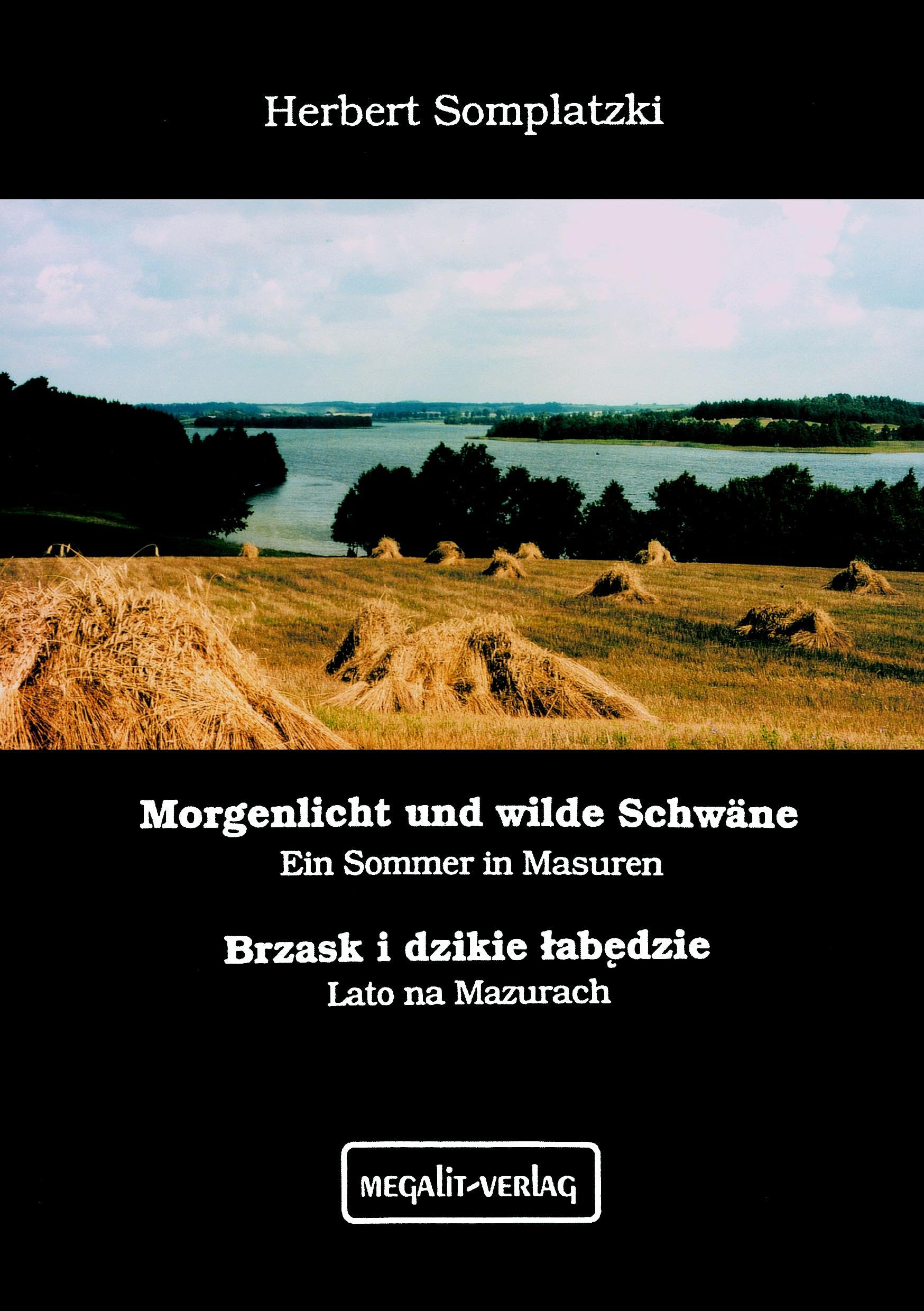 Morgenlicht und wilde Schwäne - Brzask i dzikie tabedzie Contemporary literature