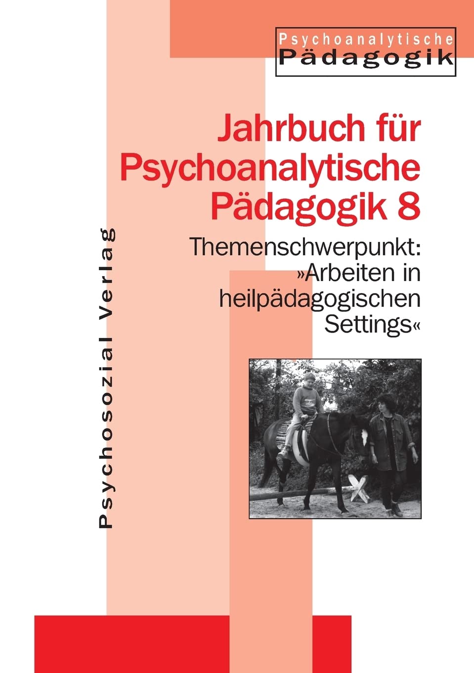Arbeiten in heilpädagogischen Settings book