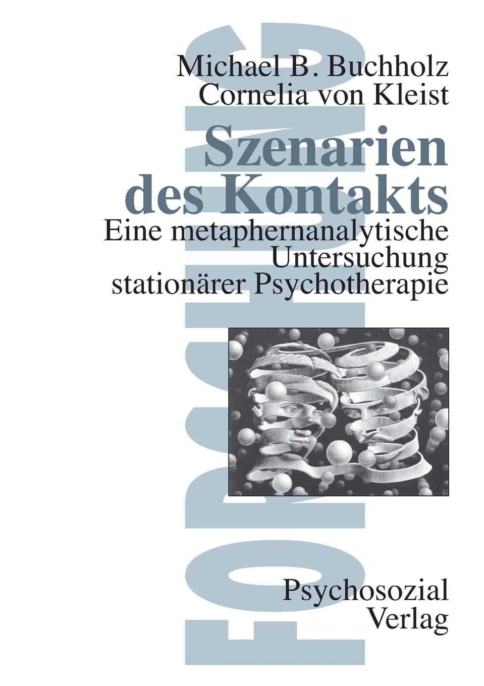 Szenarien des Kontakts: Eine metaphernanalytische Untersuchung stationärer Psychotherapie (edition psychosozial) Psychology