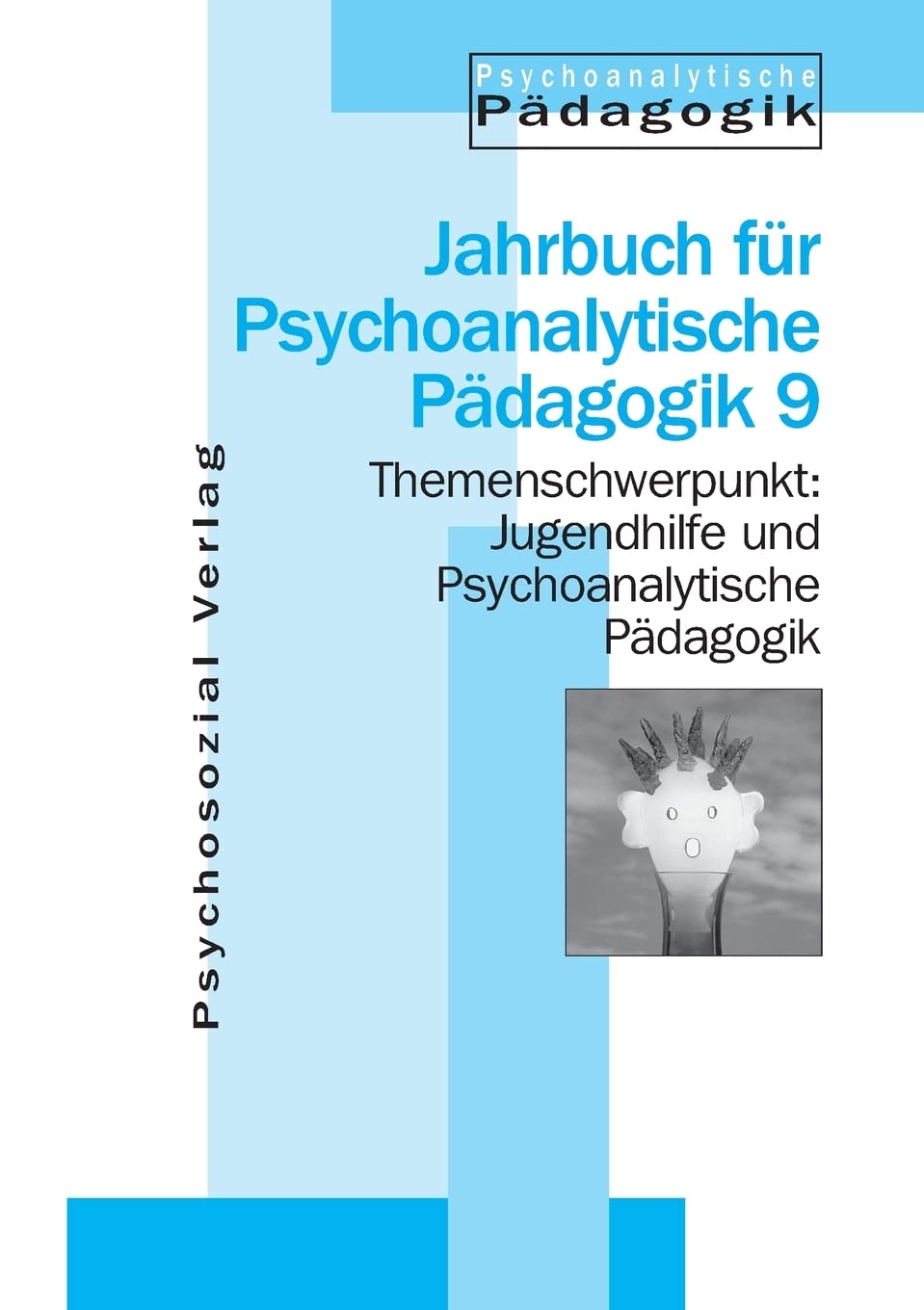 Jugendhilfe und Psychoanalytische Pädagogik: Jahrbuch für Psychoanalytische Pädagogik 9 Education & Training