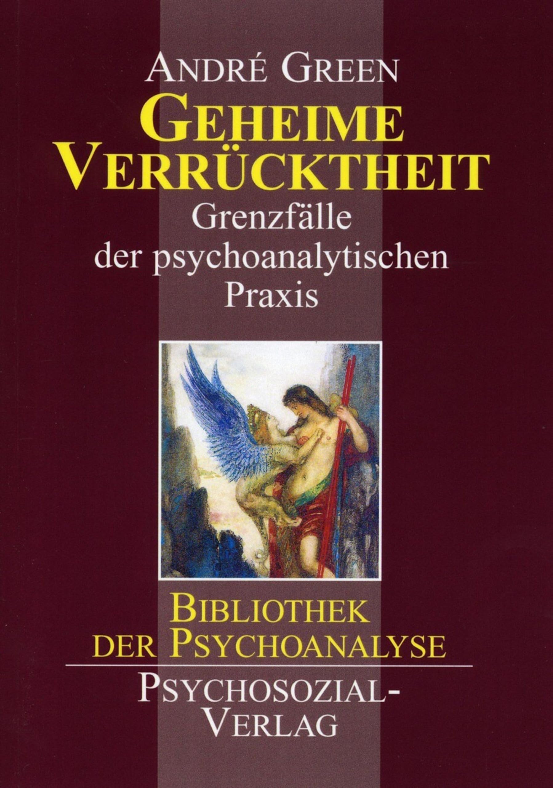 Geheime Verrücktheit: Grenzfälle der psychoanalytischen Praxis (Bibliothek der Psychoanalyse) Psychology