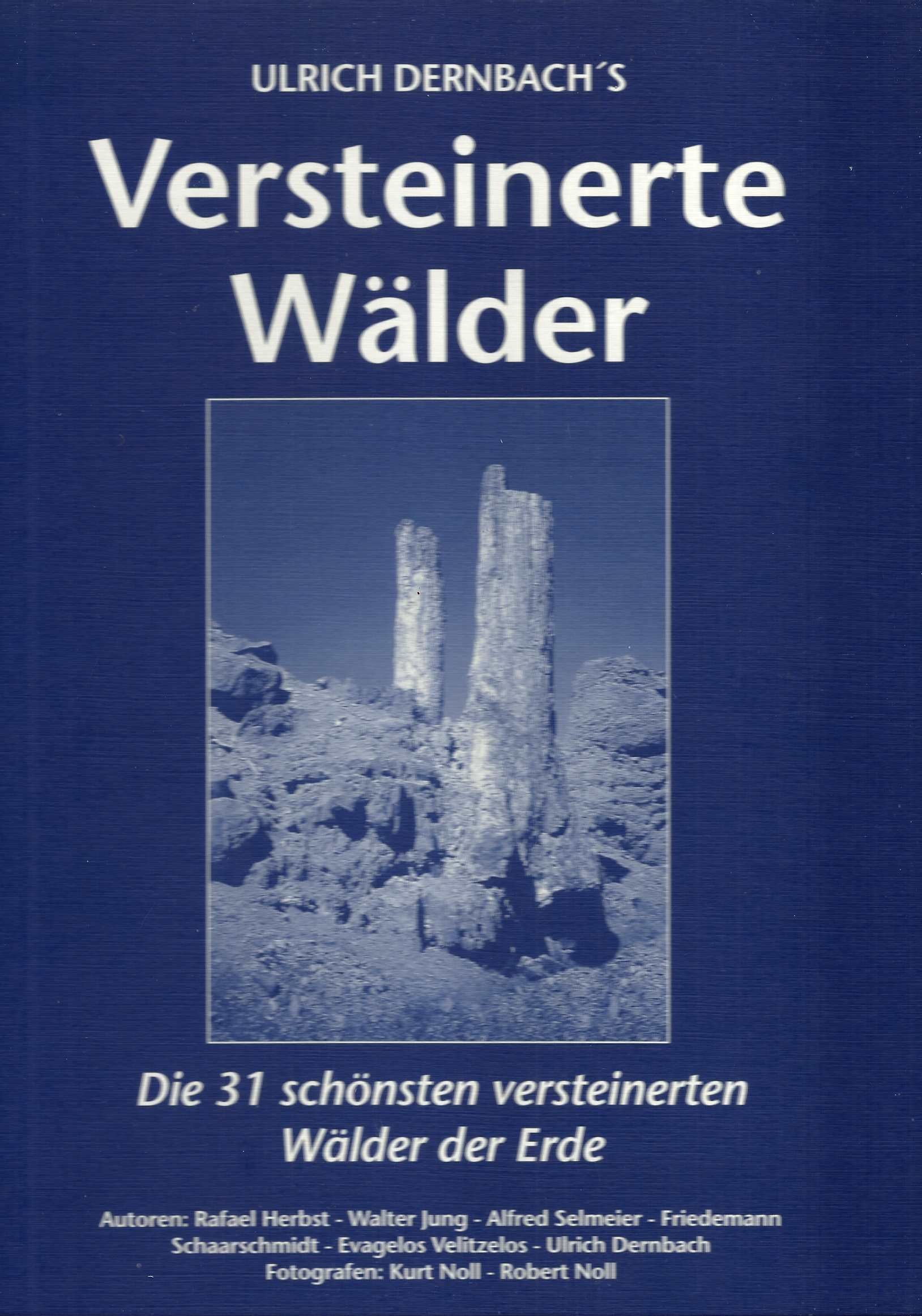 Versteinerte Wälder: Die 31 schönsten versteinerten Wälder der Erde Film, Art & Culture