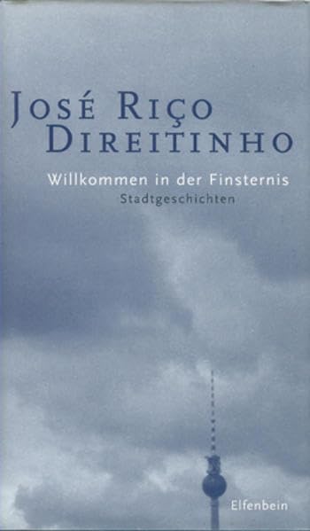 Willkommen in der Finsternis: Stadtgeschichten Contemporary literature