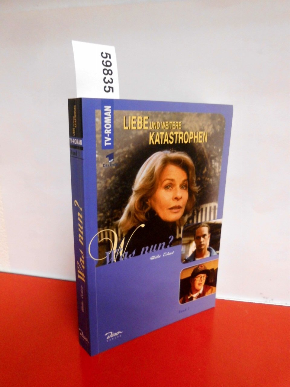 Liebe und weitere Katastrophen, Bd.1, Was nun? Fiction