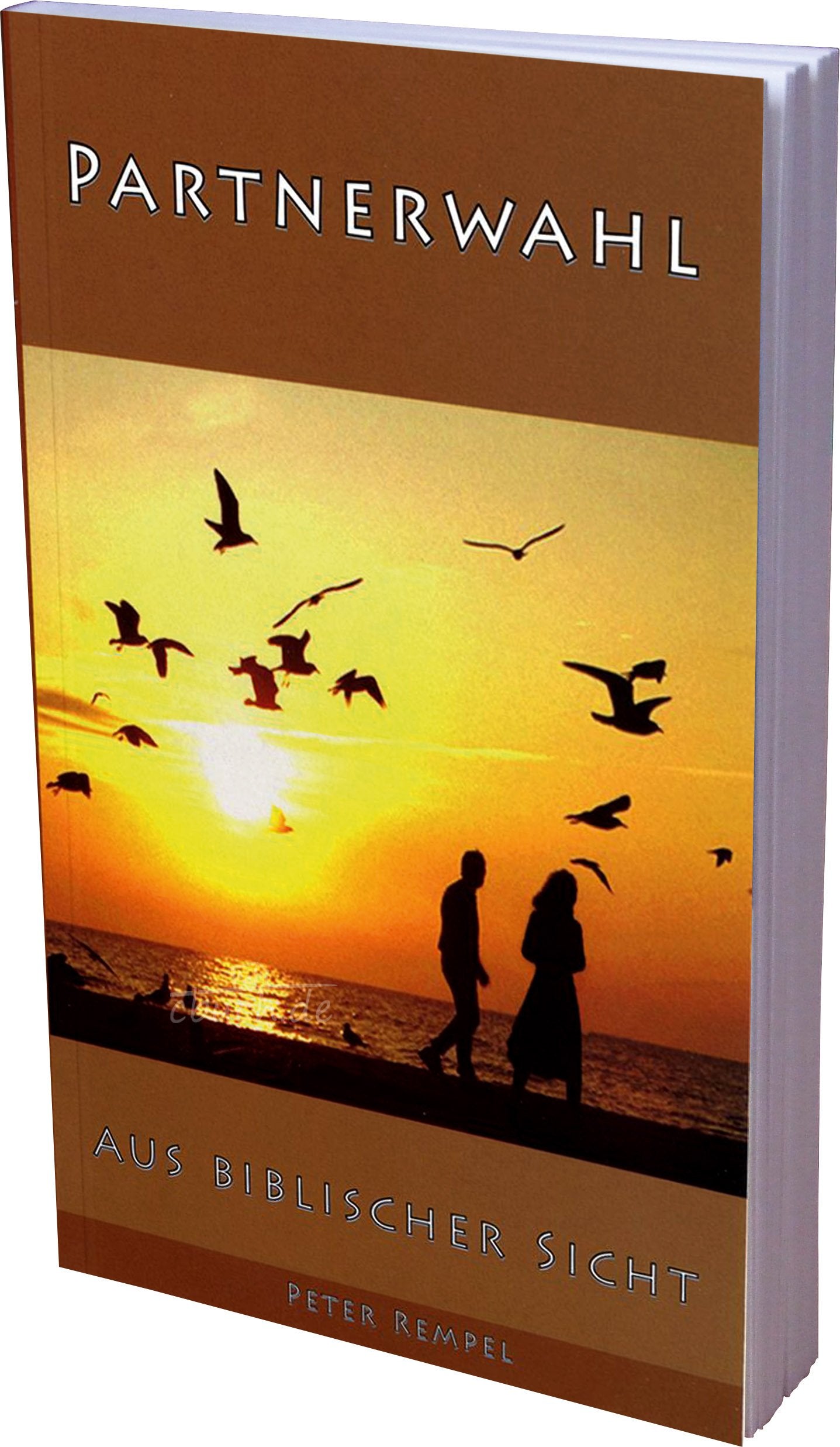 Partnerwahl aus biblischer Sicht Partnership & Love