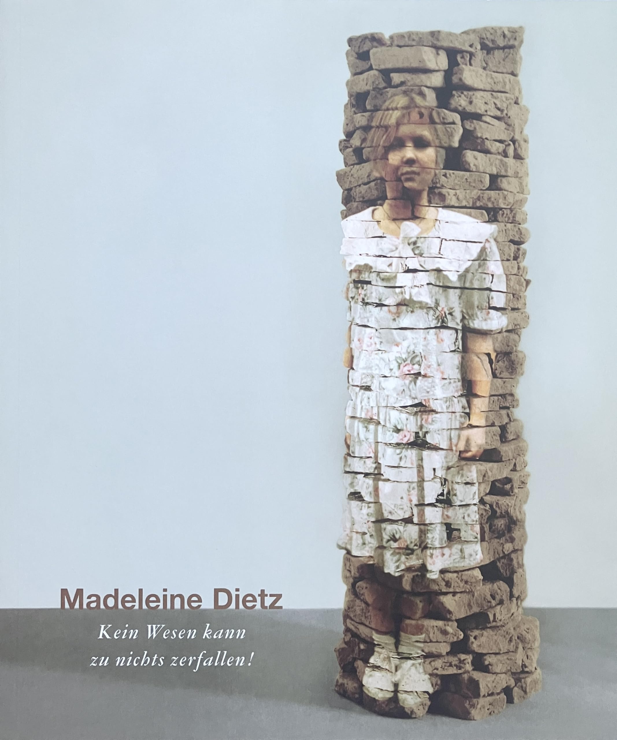 Madeleine Dietz: Kein Wesen kann zu nichts zerfallen! (Katalog in der Reihe der Galerieinformationen) Film, Art & Culture