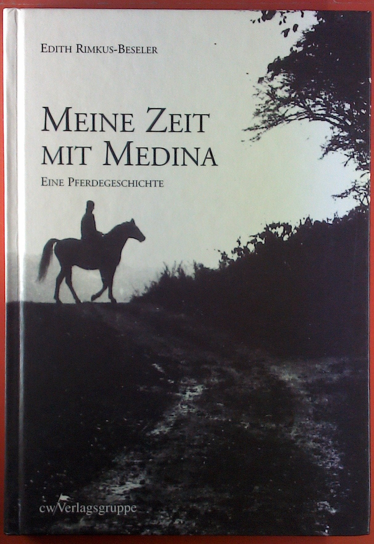 Meine Zeit mit Medina: Eine Pferdegeschichte Books