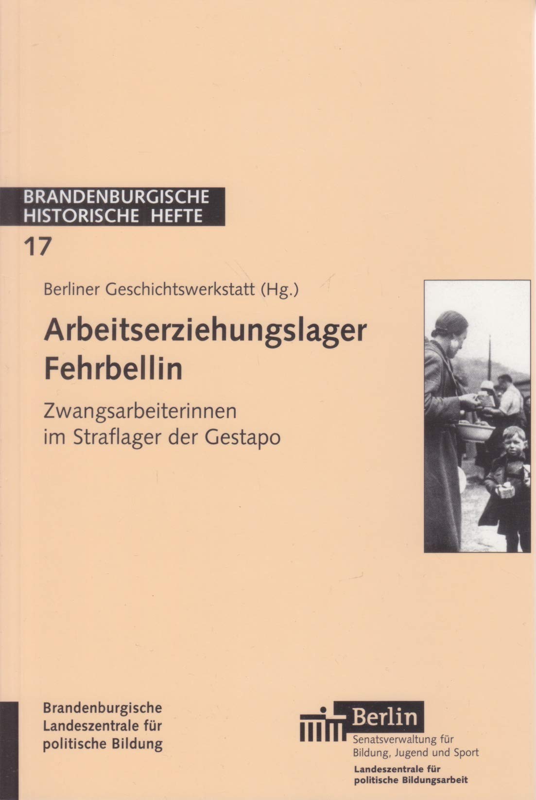 Arbeitserziehungslager Fehrbellin: Zwangsarbeiterinnen im Straflager der Gestapo book