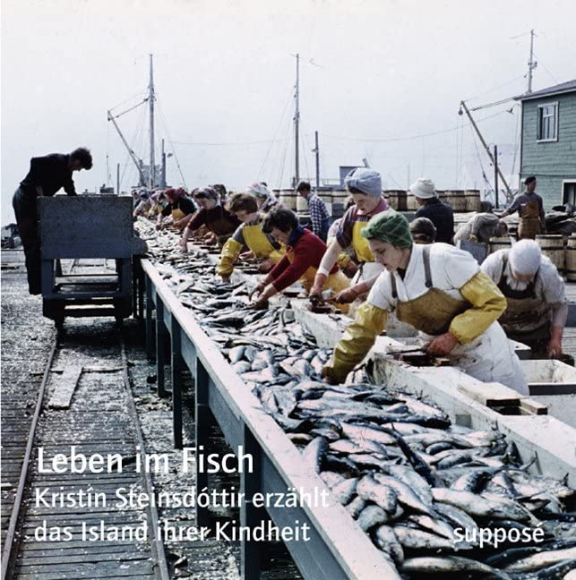 Leben im Fisch: Kristín Steinsdóttir erzählt das Island ihrer Kindheit Contemporary literature