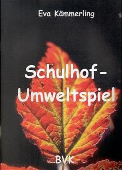 Schulhof-Umweltspiel Education & Training