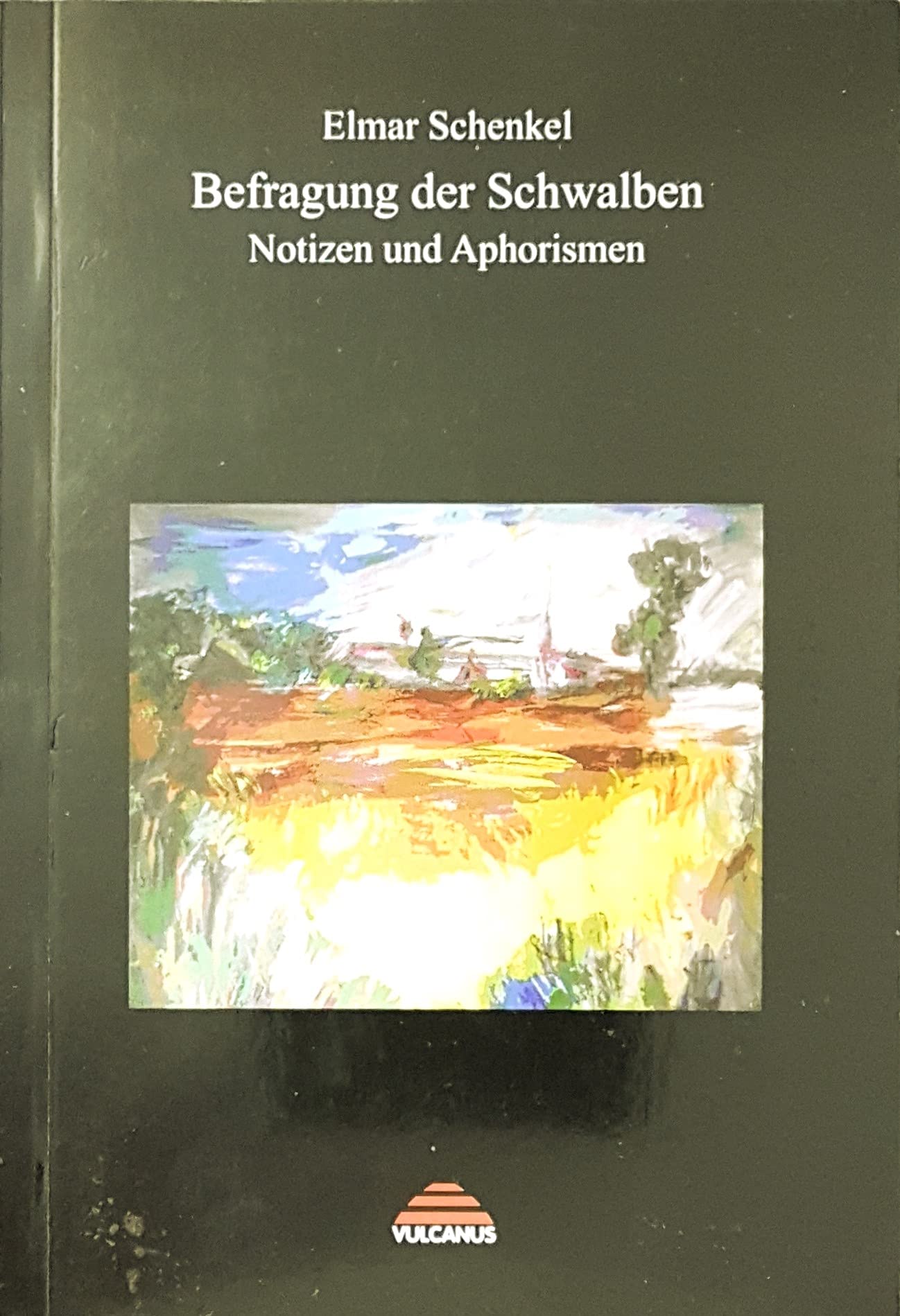 Befragung der Schwalben: Notizen und Aphorismen Contemporary literature