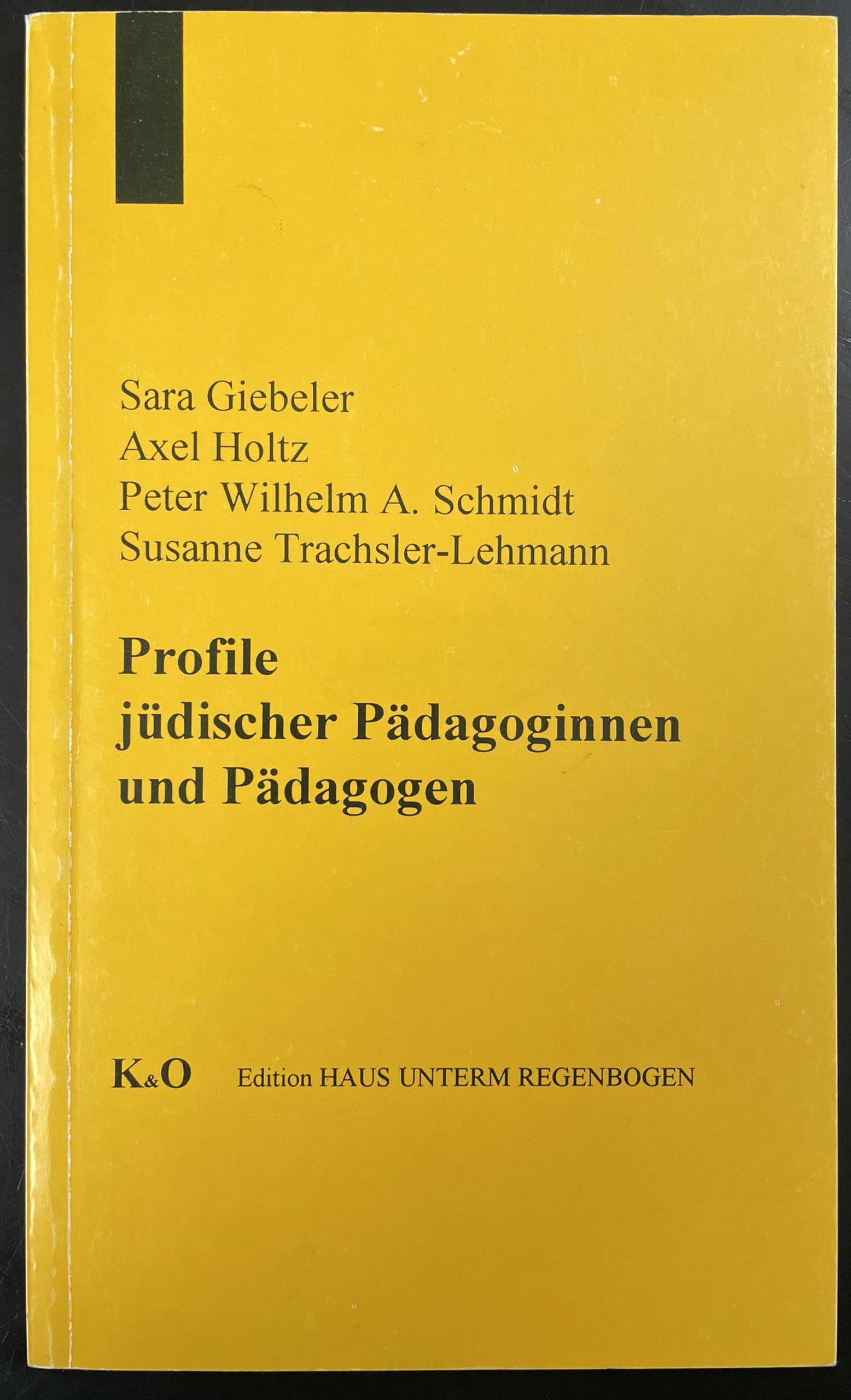 Profile jüdischer Pädagoginnen und Pädagogen (Edition Haus unterm Regenbogen) Professional & Reference Books