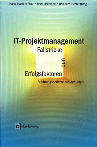 IT-Projektmanagement - Fallstricke und Erfolgsfaktoren: Erfahrungsberichte aus der Praxis Business, Finance & Career