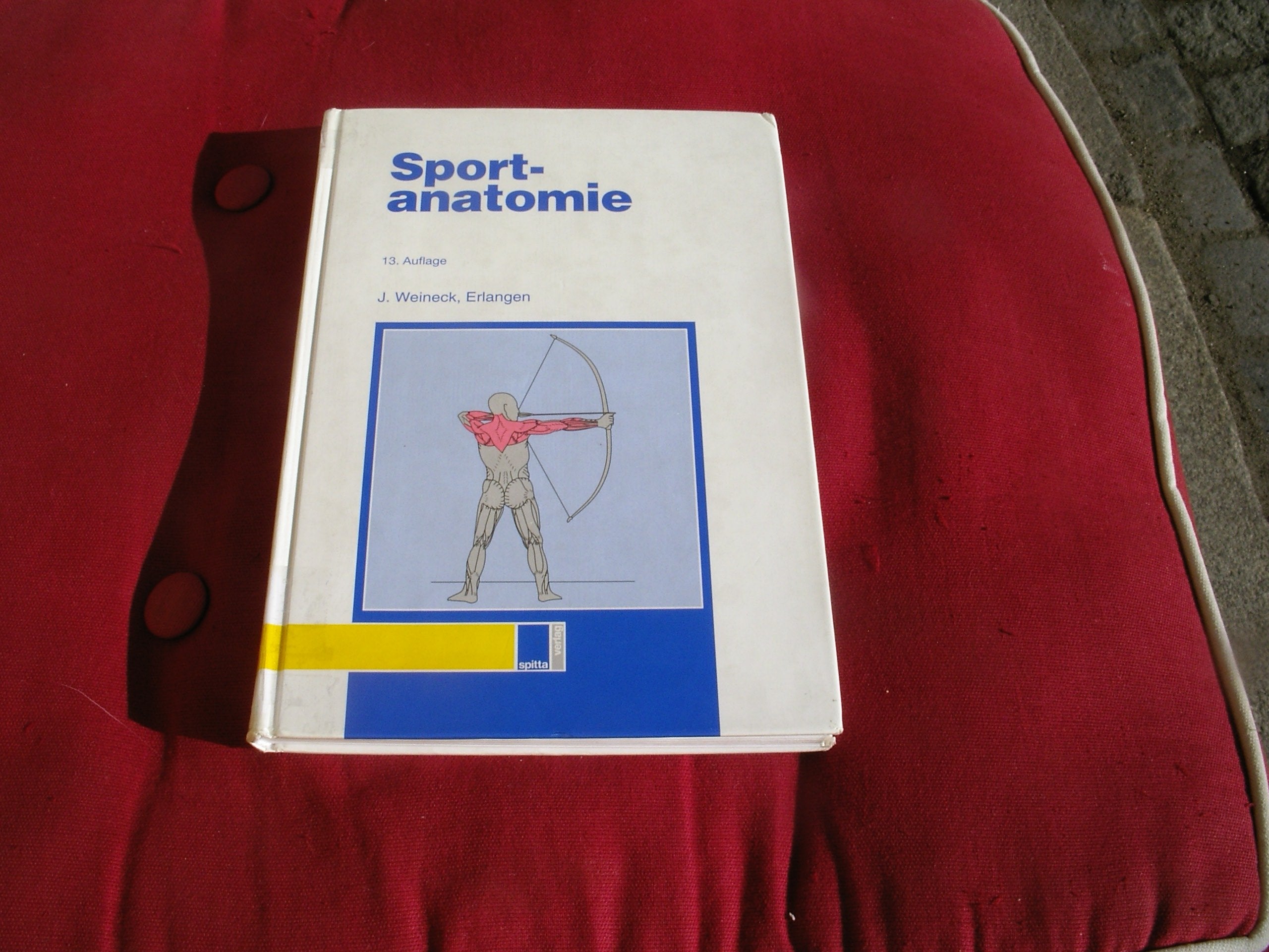 Sportanatomie Leisure & Fun