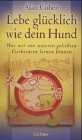 Lebe glücklich wie Dein Hund. Was wir von unseren geliebten Vierbeinern lernen können Lifestyle