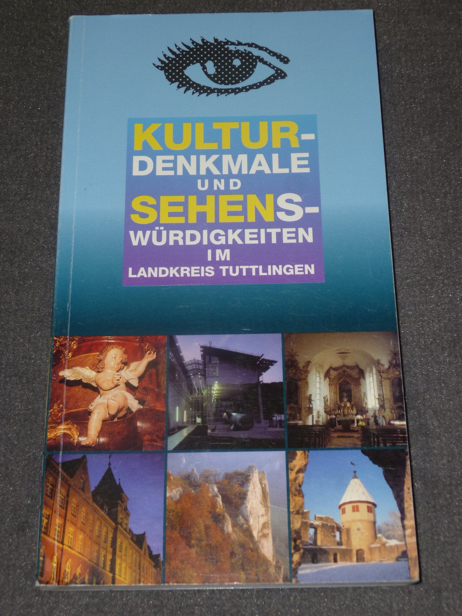 Kulturdenkmale und Sehenswürdigkeiten im Landkreis Tuttlingen Books