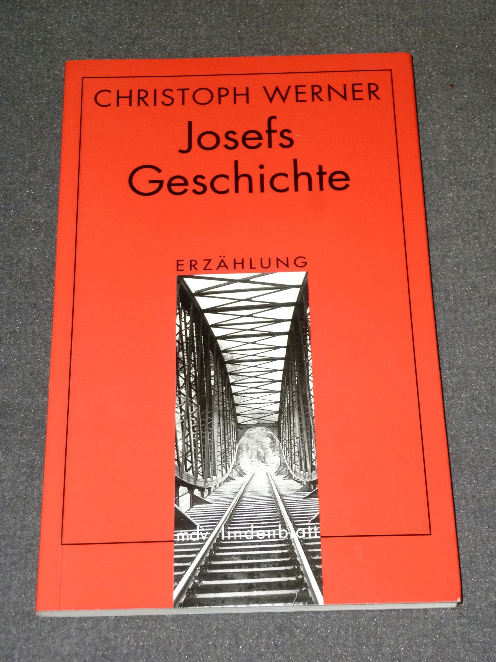 Josefs Geschichte: Erzählung (mdv lindenblatt) Fiction