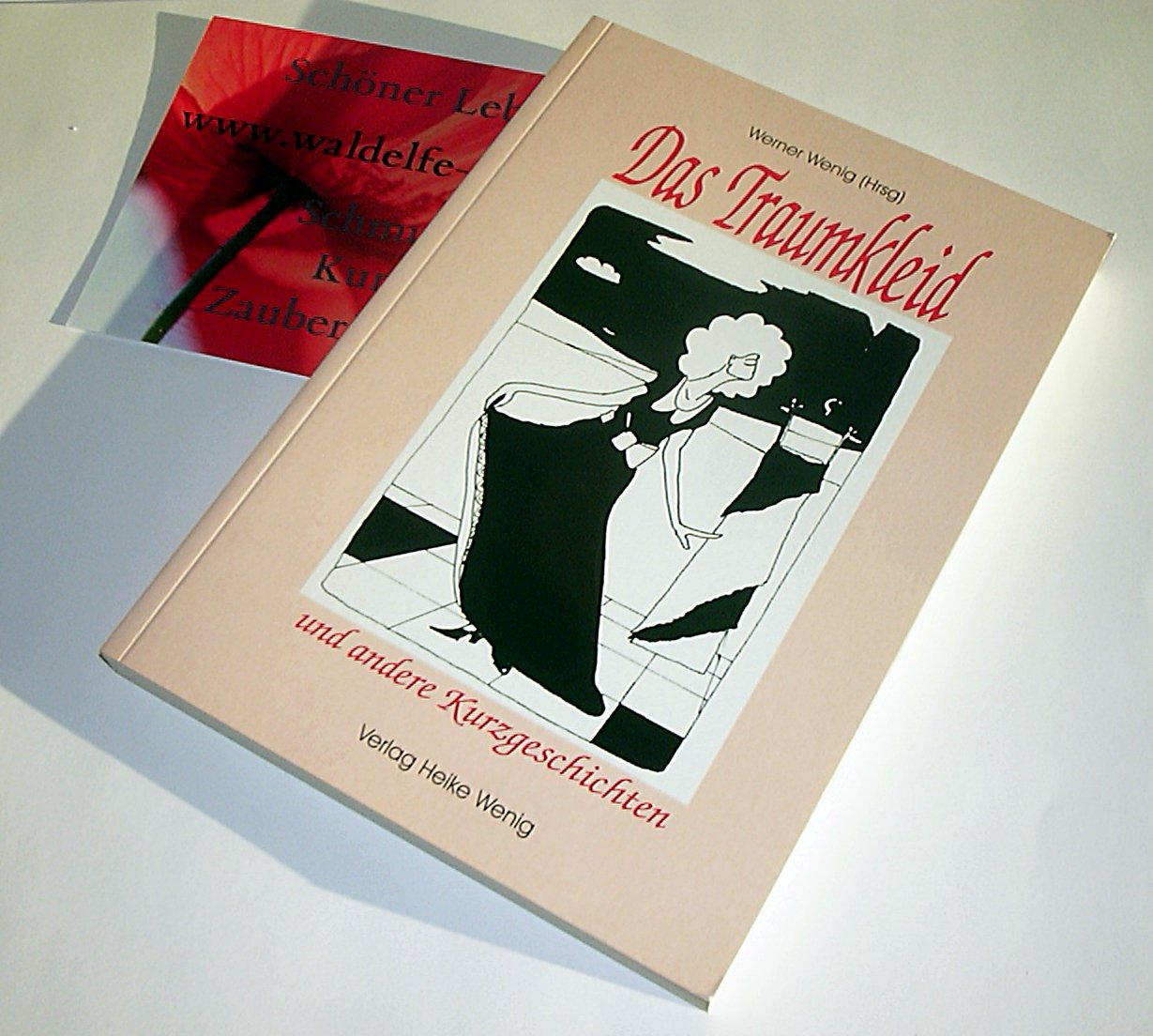 Das Traumkleid: Und andere Kurzgeschichten. Anthologie mit Beiträgen von 65 Autoren Books