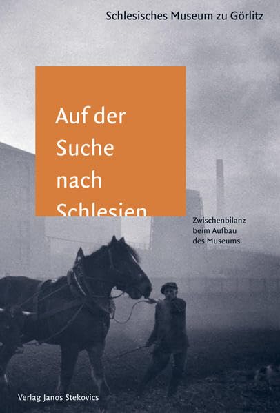 Auf der Suche nach Schlesien: Zwischenbilanz beim Aufbau des Schlesischen Museums zu Görlitz Professional & Reference Books