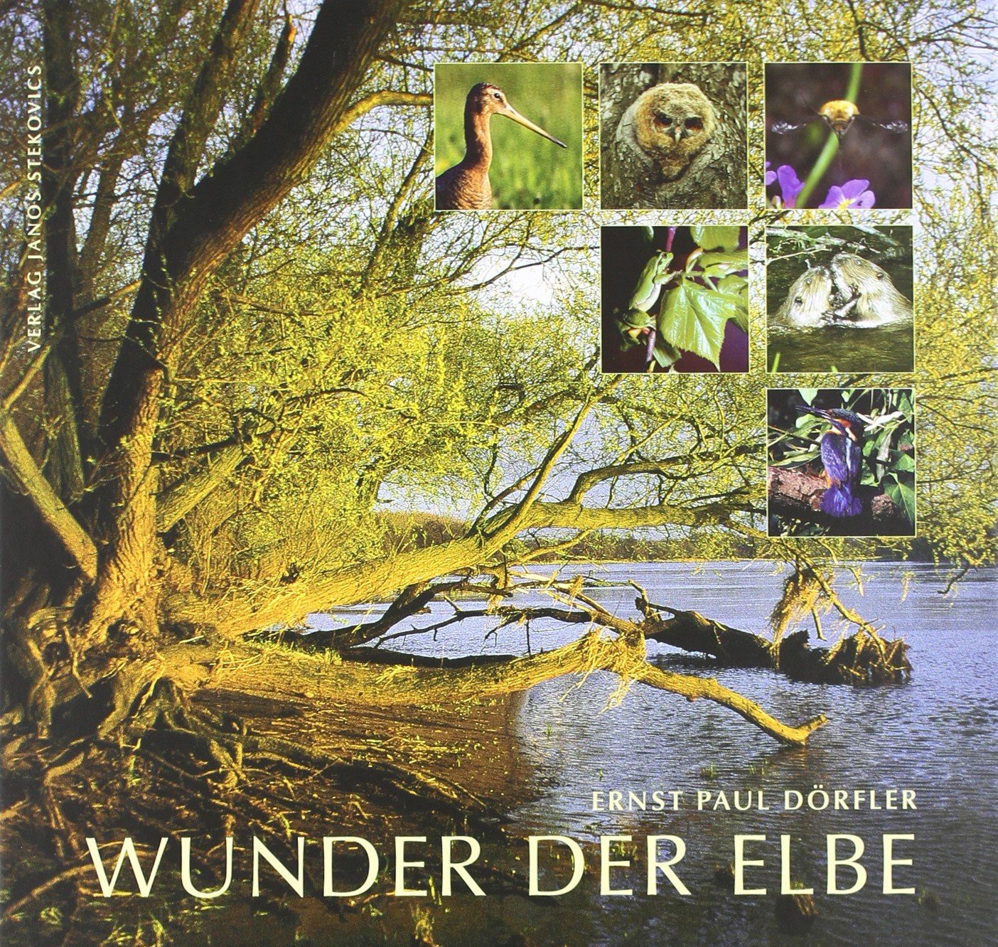 Wunder der Elbe Memories