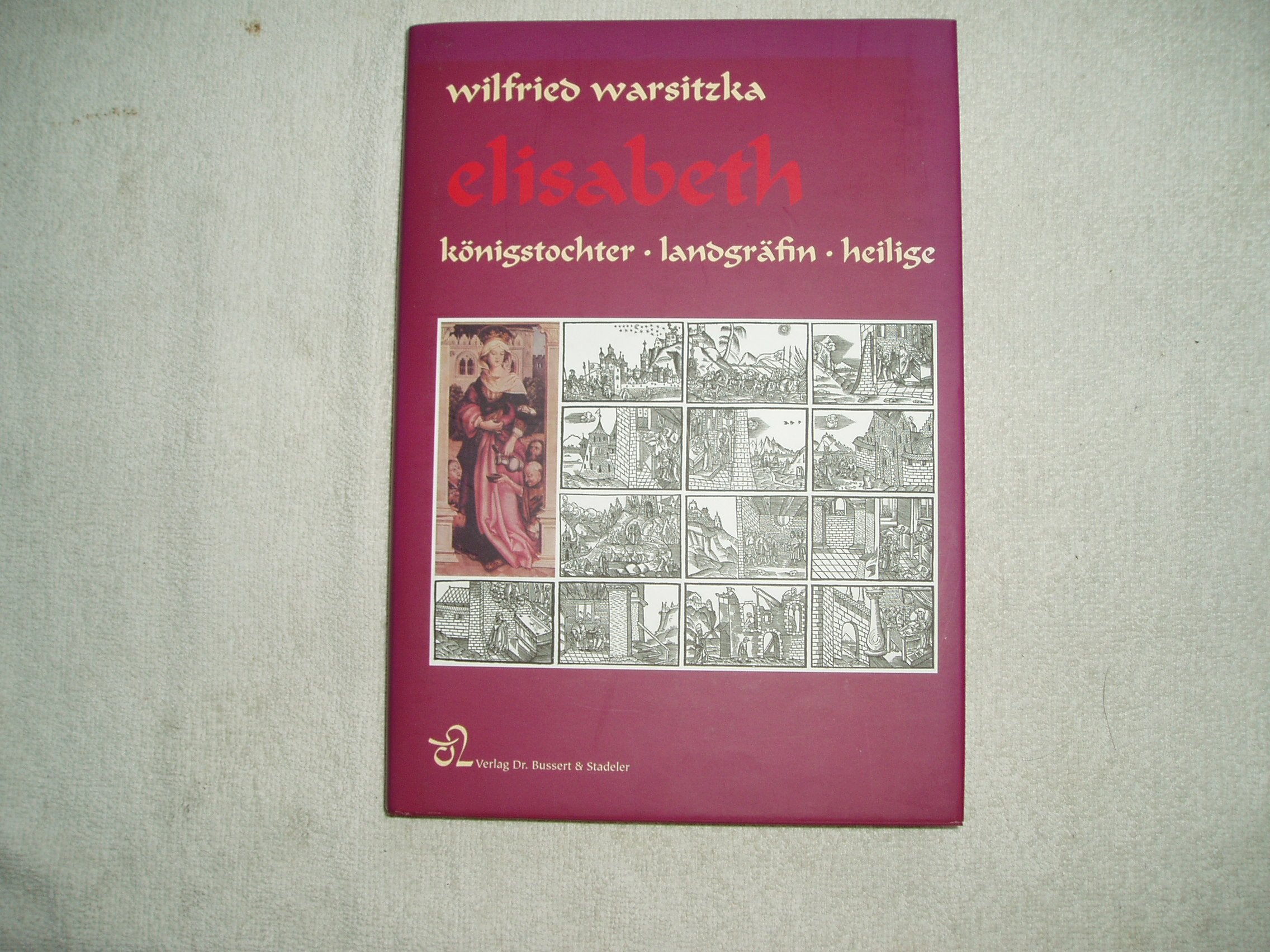 Elisabeth: Königstochter, Landgräfin und Heilige Politics & History