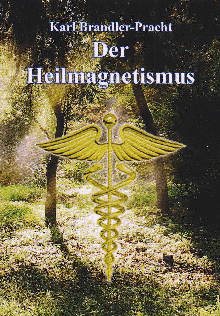 Der Heilmagnetismus: Vom okkulten Standpunkt Religion & Esotericism